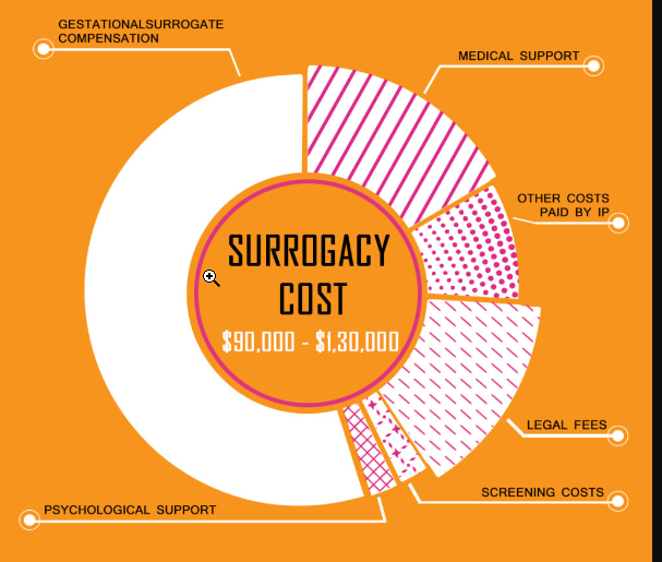 Surrogacy Loan Cost