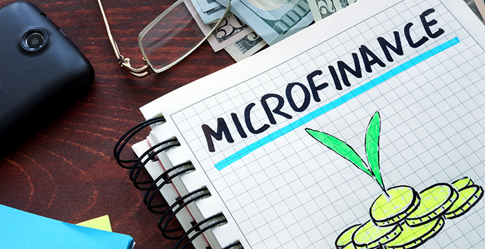 Ways in which Microfinance Helped Alleviate Poverty