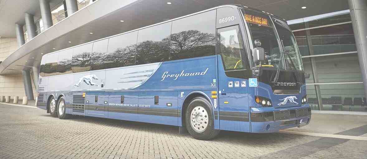 A few Other Ways To Get Free Tickets From Greyhound 