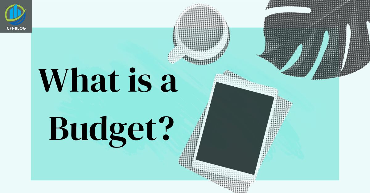 What is a Budget
