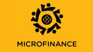 What Does the 2014 Banana Skins Report Reveal About Microfinance Industry?